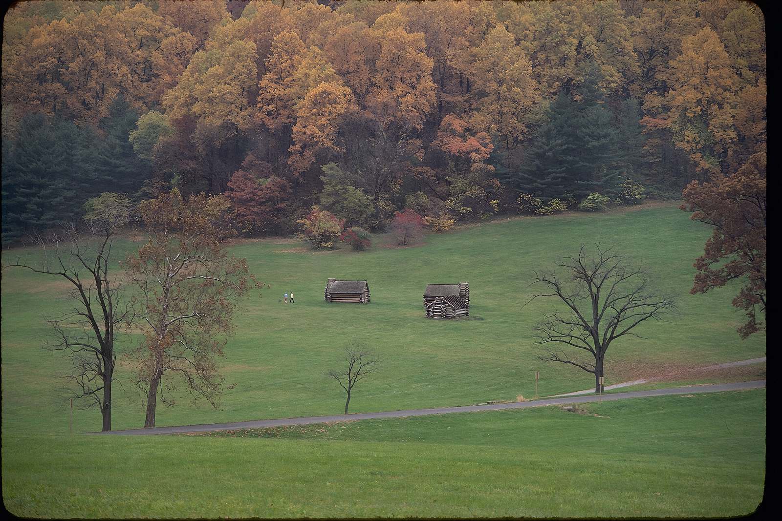 Valley Forge National Historical Park. Even the county's most famous ground sits inside a municipality — Upper Merion Township — with its own millage.